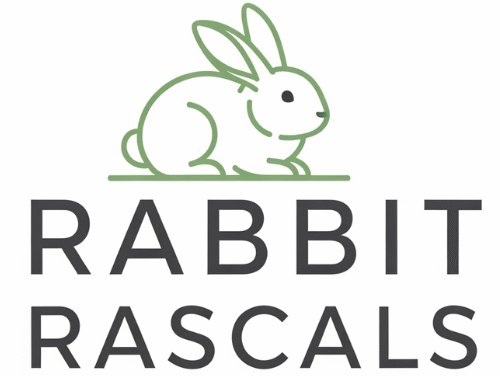 rabbitrascals.com